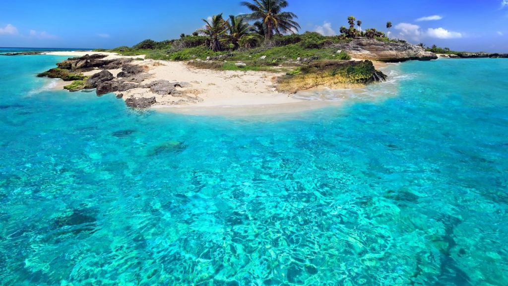 Água azul de uma pequena faixa de área, com pedras e coqueiros da praia del carmen