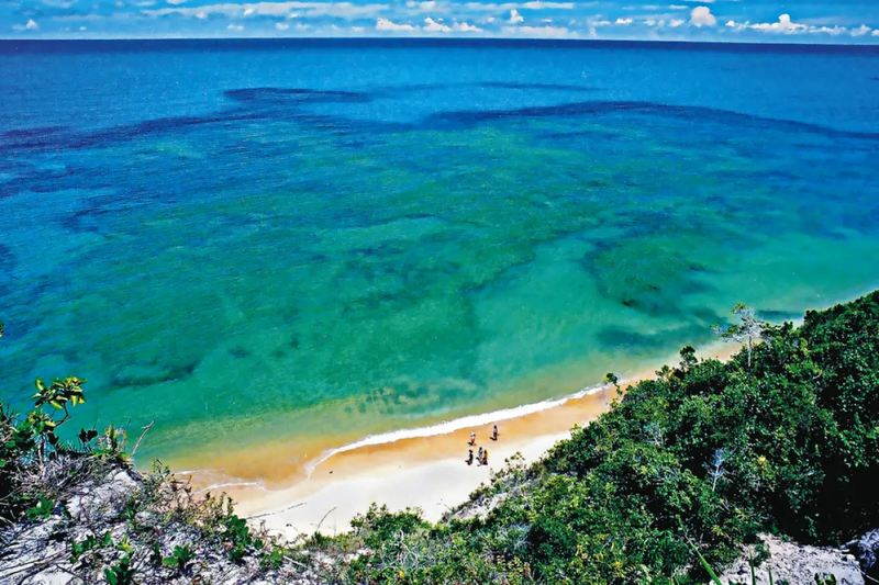 Imagem vista de cima de uma falésia coberta por vegetação nativa com a praia de areia branca embaixo e o mar azulado até o horizonte de Trancoso praia do Espelho