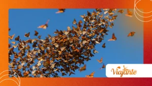 The Mystery of Animal Migration Patterns