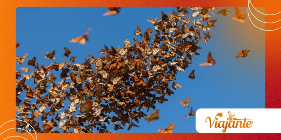The Mystery of Animal Migration Patterns
