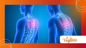 The Surprising Link Between Jaw Strength and Posture