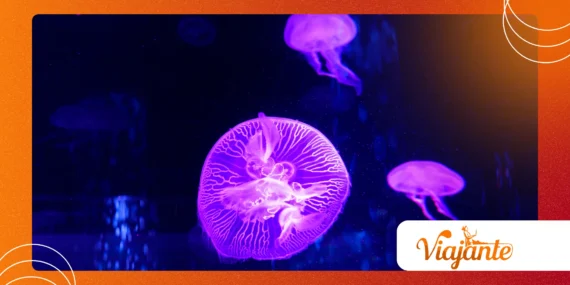Bioluminescent Creatures: The Promise of Living Lights