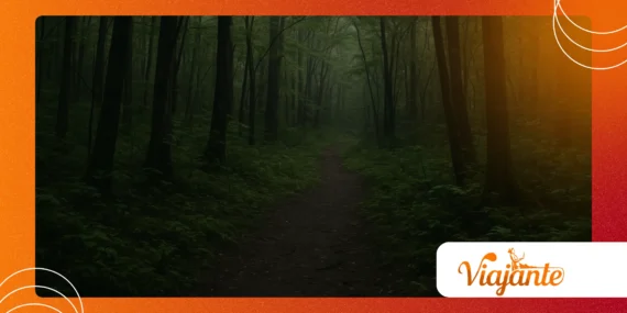 The Suicide Forest of Japan: What’s Legend and What’s Real?