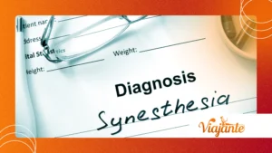 Synesthesia: When Sounds Can Be Seen or Taste Colors