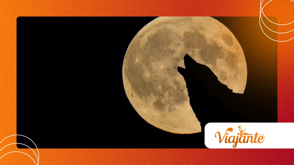 moon influences animal behavior