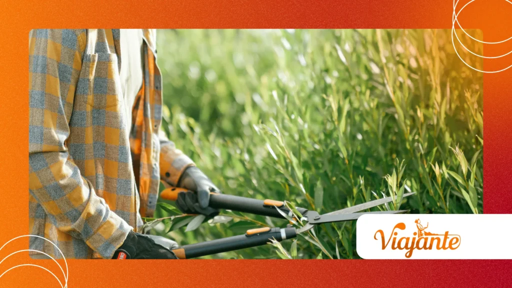 The Killer with Garden Shears