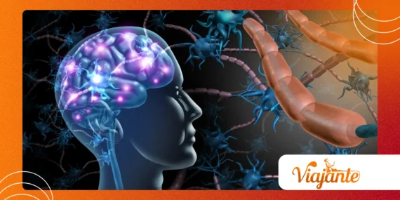 Gut-Brain Axis and Anxiety: What’s the Latest Science?