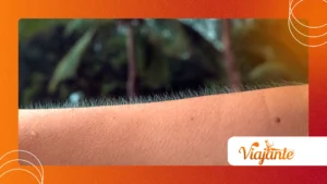 Why Do We Get Goosebumps? Evolutionary Trace