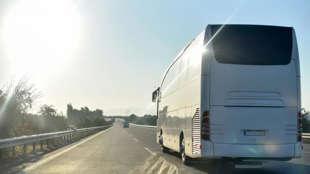 Midnight Bus to Nowhere