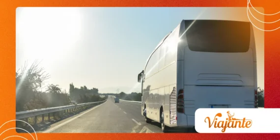 The Midnight Bus to Nowhere: Urban Transit Myth