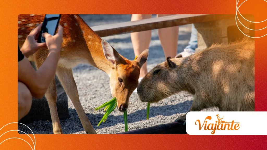 Truth About Animal Decision Making Behavior