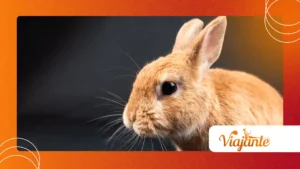 Why Animal Behavioral Anomalies Are More Frequently Seen
