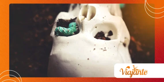Why Bone Collector Caterpillar Is Nature’s Strangest Hunter