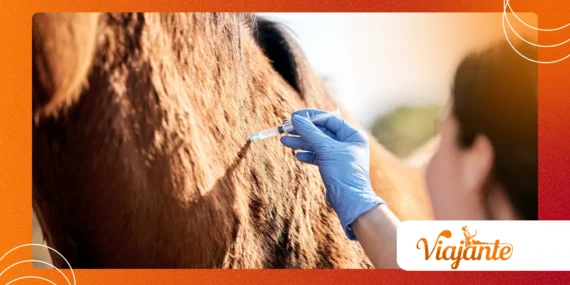 Emerging Zoonoses: Monitoring Animal→Human Transmission