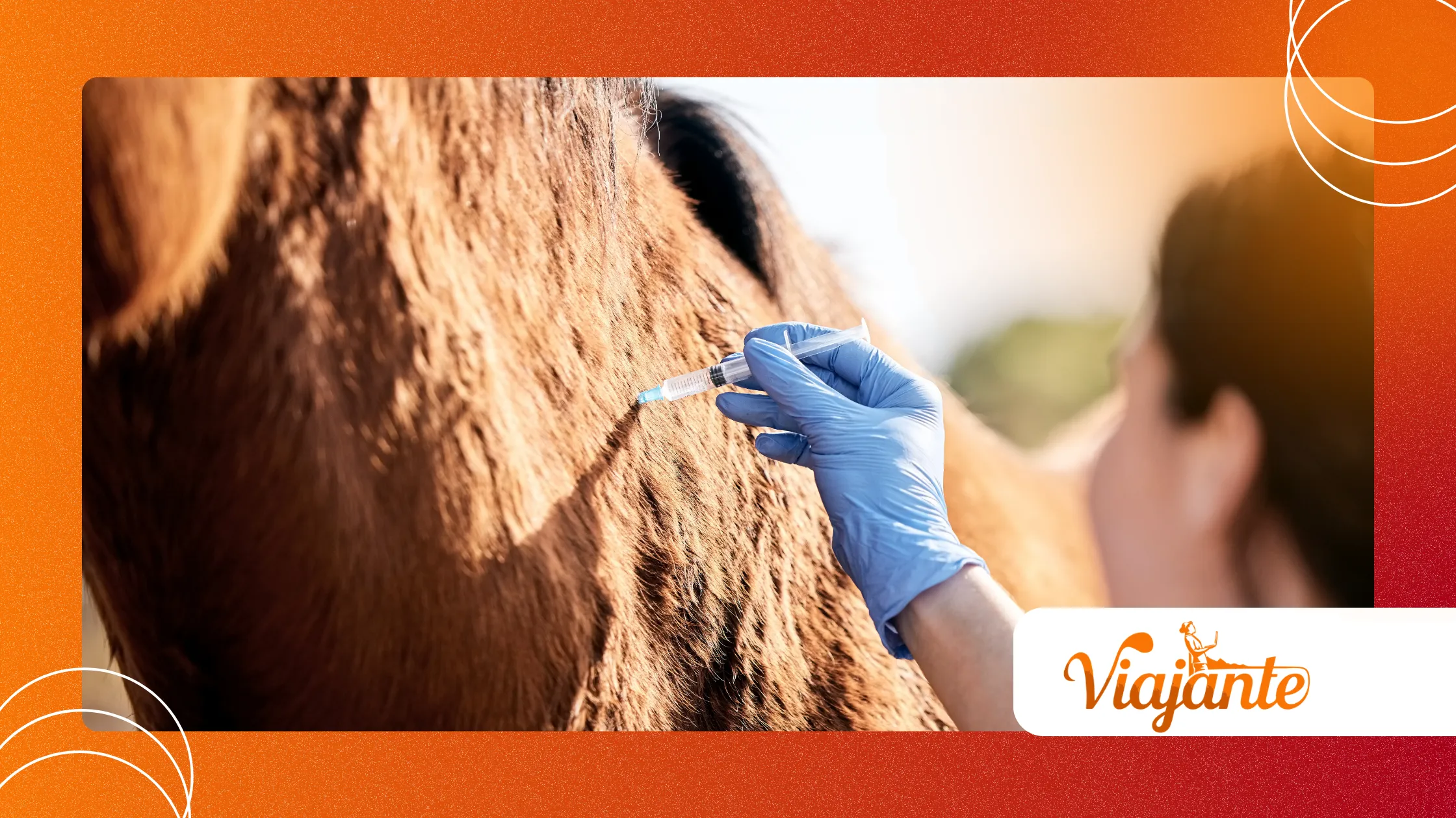 Emerging Zoonoses