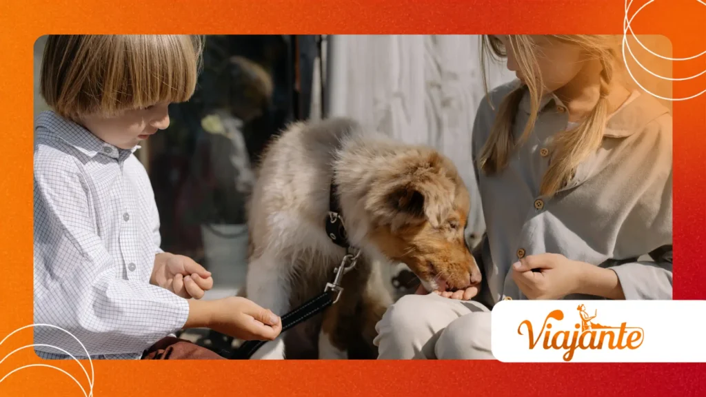 animals that have passed intelligence tests designed for children