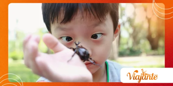 Animals That Have Passed Intelligence Tests Designed for Children