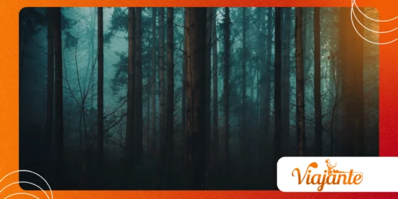 Why Whispering Forest Urban Legend Is Going Viral
