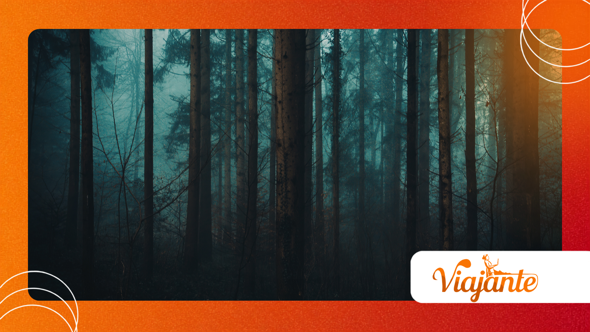 Whispering Forest Urban Legend