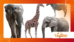 Animals That Changed the Course of Human History