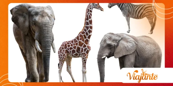 Animals That Changed the Course of Human History