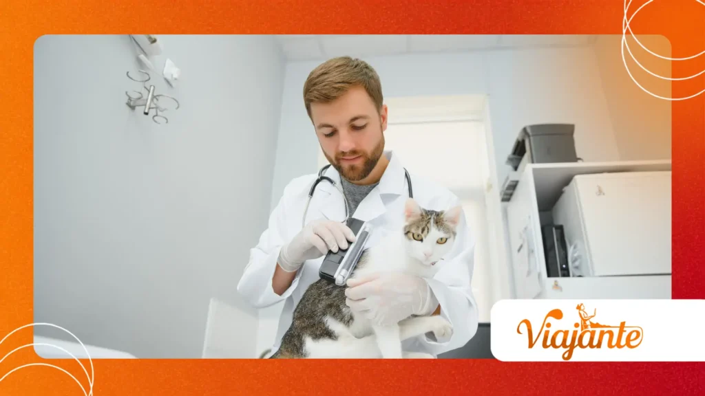 Why Did Iconic Scientists Keep Cats in Their Laboratories?