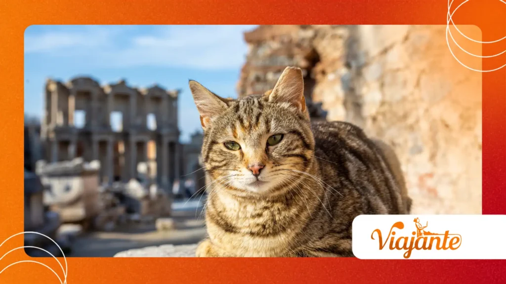 famous cats that influenced historical figures