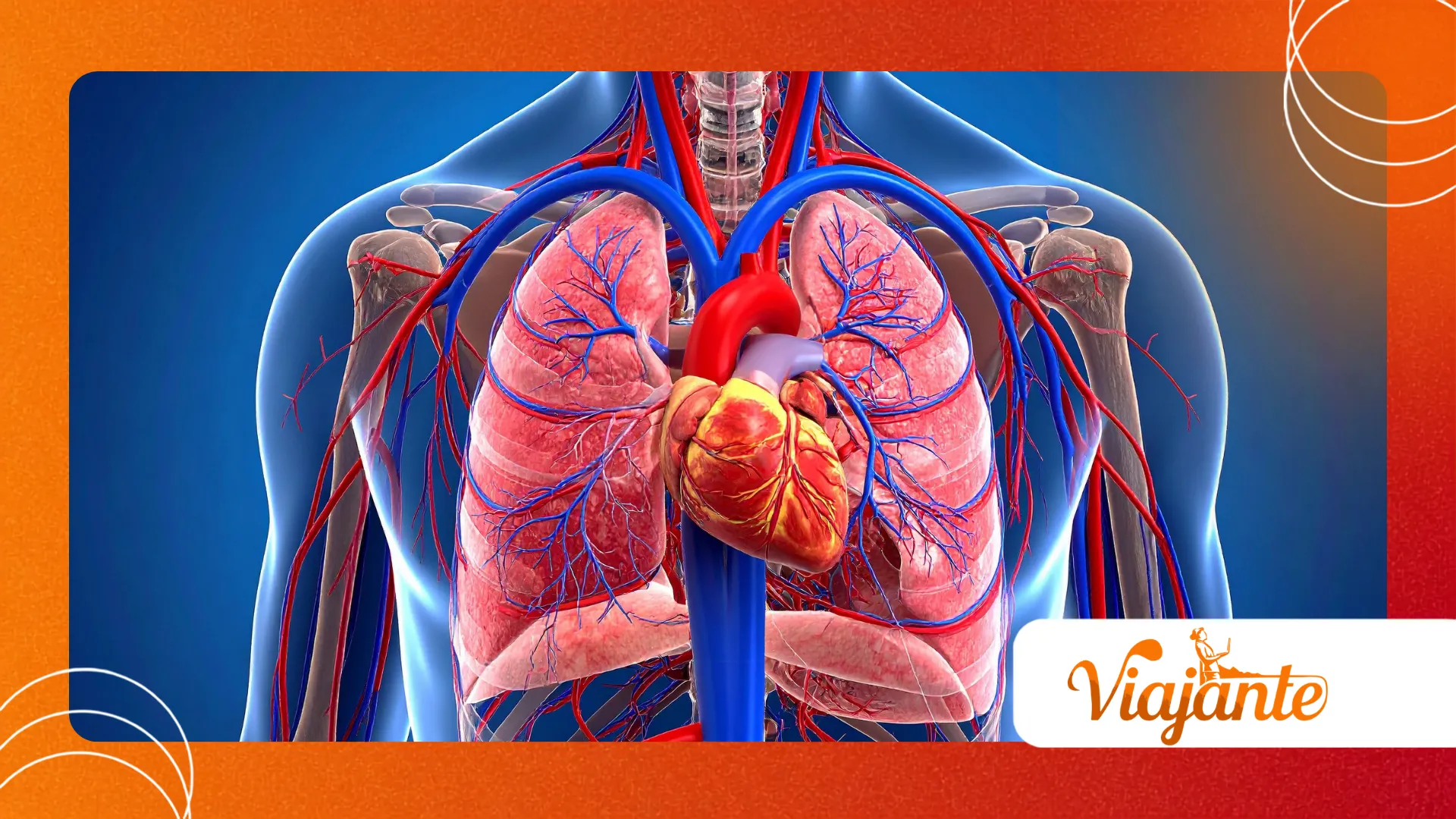 Oral Microbiome and Systemic Disease