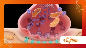 Oral Microbiome and Systemic Disease: The Latest Research