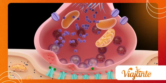 Oral Microbiome and Systemic Disease: The Latest Research