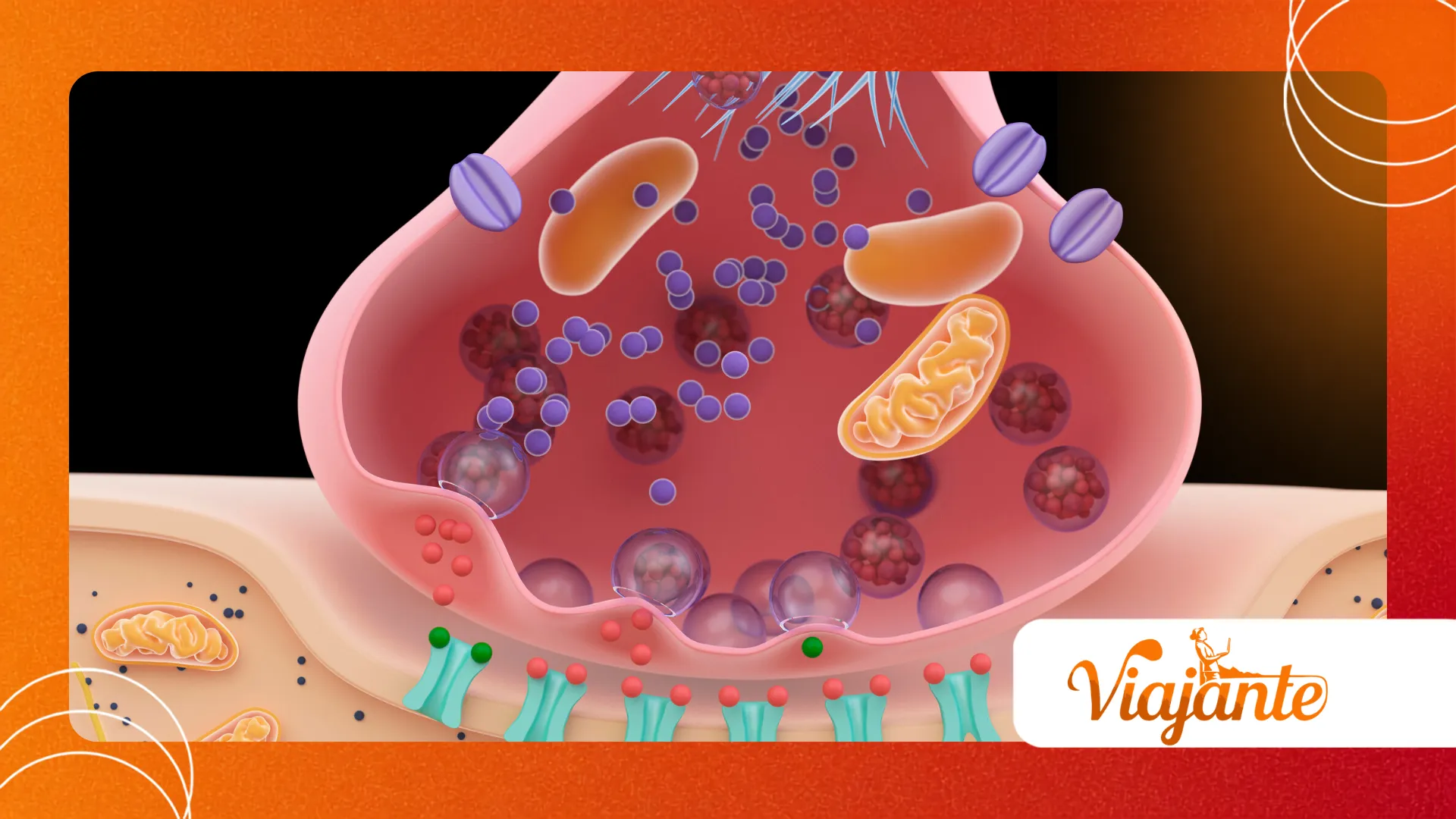 Oral Microbiome and Systemic Disease