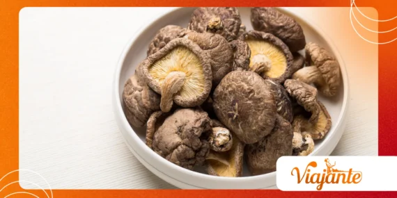 Rising Use of Dried Functional Mushrooms in Wellness