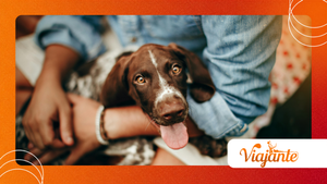 How Dogs With Tuberculosis Can Signal a New One Health Risk Today