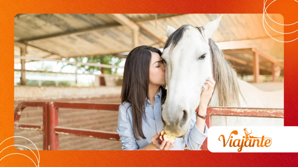 Horses With Kissing Spines
