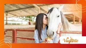 How Horses With Kissing Spines Recover Through Exercise Therapy