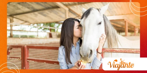 How Horses With Kissing Spines Recover Through Exercise Therapy