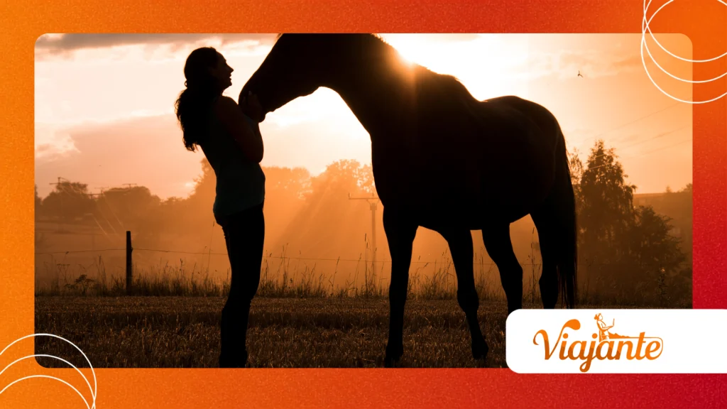 Horses With Kissing Spines
