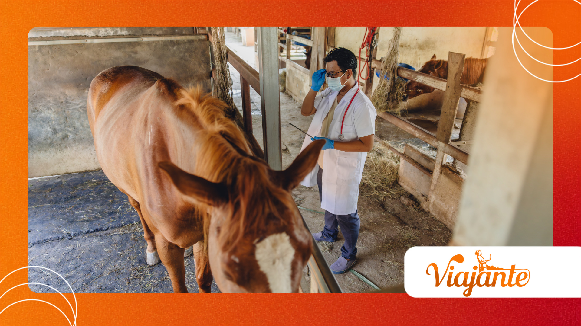 Equine Influenza